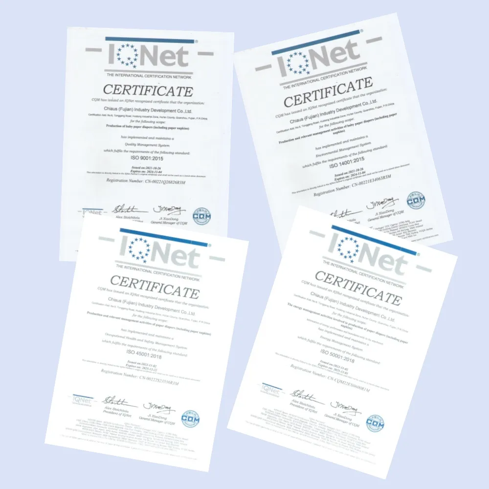 Pee Pad Train A Puppy certificate Pee Pad Train A Puppy certificate